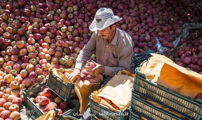 نقش تعاونی های کشاورزی در کاهش هزینه های دولت