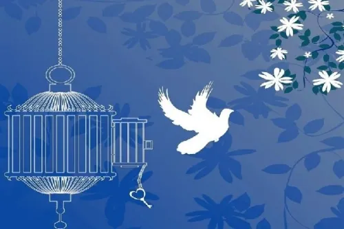 ۴ محکوم به قصاص در خوزستان با صلح و سازش از چوبه دار رهایی یافتند