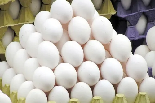قیمت تخم مرغ تغییر نمود